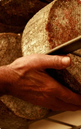 persona che alza la forma di pecorino