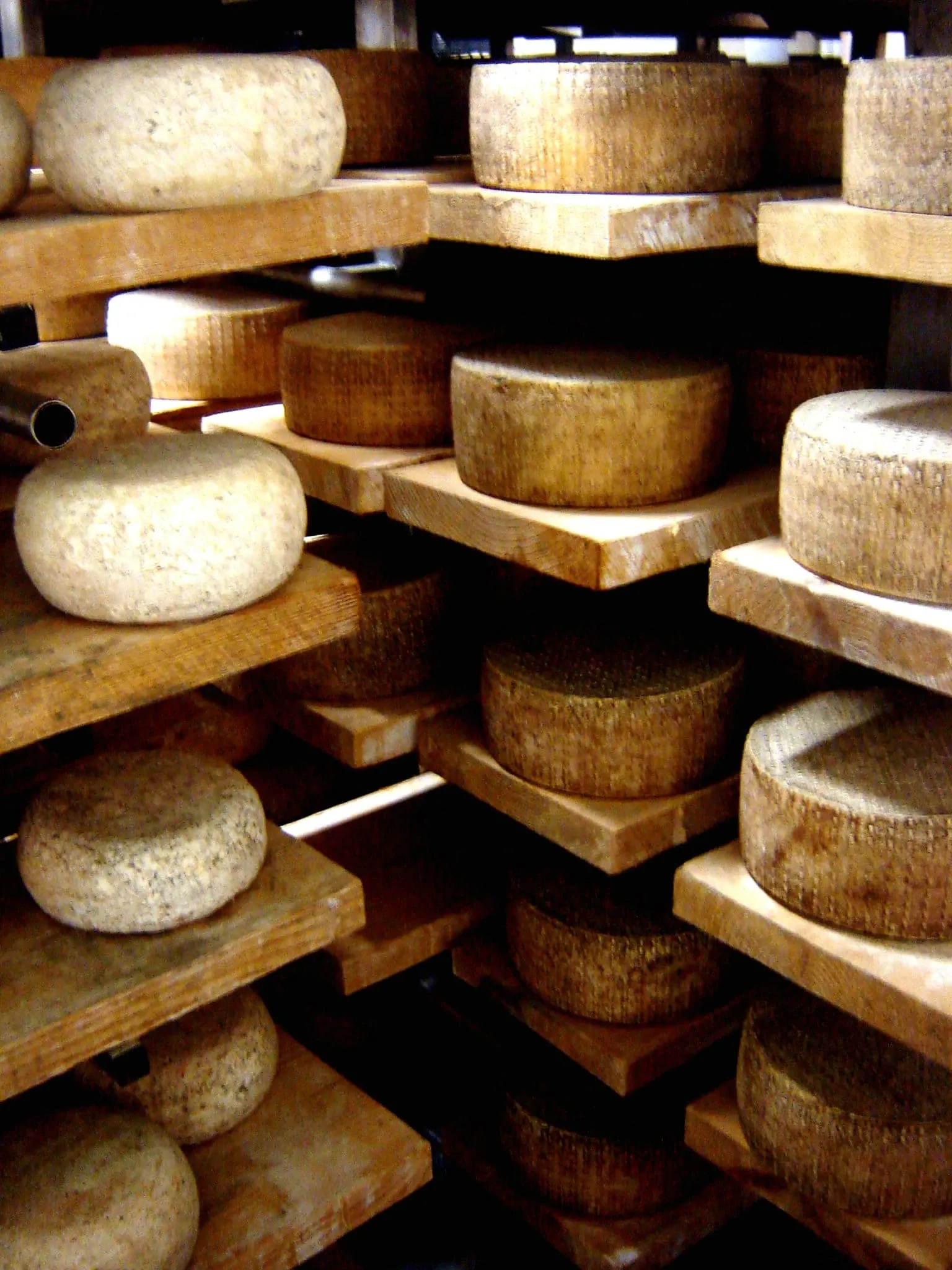 forme di formaggio su degli scaffali
